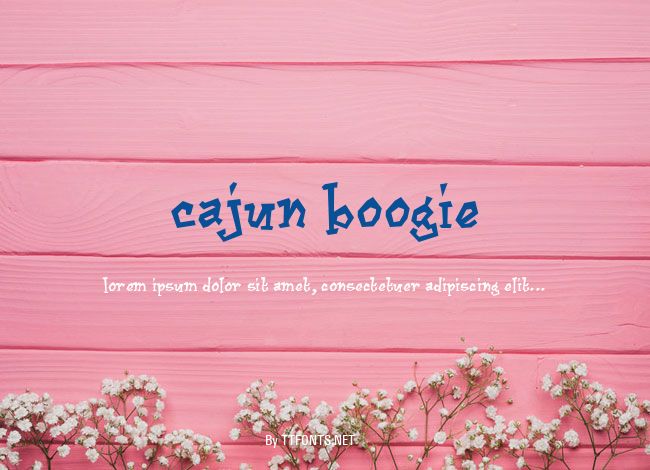 Cajun Boogie example